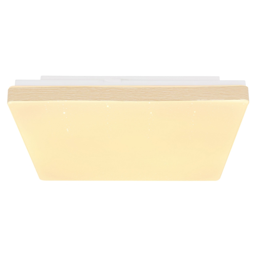 Globo - LED Stropna svetilka LED/12W/230V