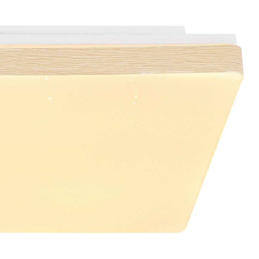 Globo - LED Stropna svetilka LED/12W/230V