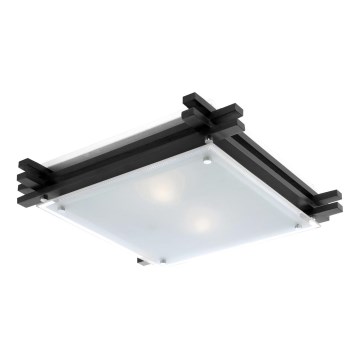 GLOBO 48324-2 - Stropna svetilka EDISON 2xE27/60W/230V