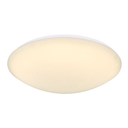 Globo - LED Stropna svetilka LED/24W/230V
