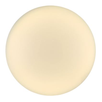 Globo - LED Stropna svetilka LED/24W/230V