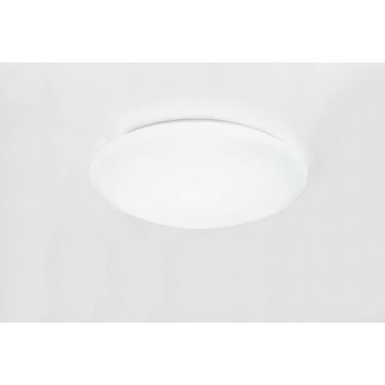 Globo - RGB LED stropna svetilka z možnostjo zatemnitve LED/48W/230V + LED/10W 2700-6500K premer 50 cm + daljinski upravljalnik