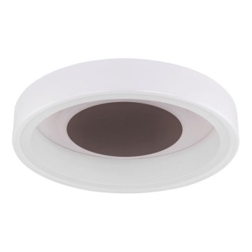 Globo 48398-24 - LED Stropna svetilka GOFFI LED/30W/230V