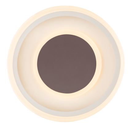 Globo 48398-24 - LED Stropna svetilka GOFFI LED/30W/230V