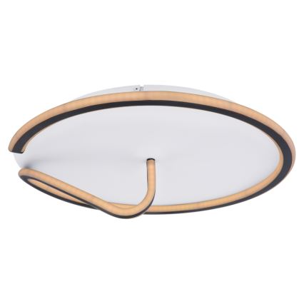 Globo - LED Zatemnitvena stropna svetilka RODAN LED/50W/230V 3000-6000K + Daljinski upravljalnik