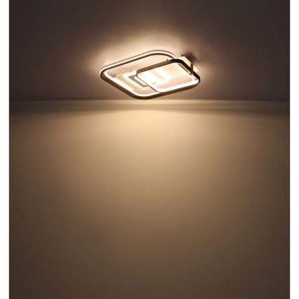 Globo 48459-48 - Zatemnljivo LED stropno svetilo ANI LED/48W/230V 2700-6000K 48x52 cm + daljinski upravljalnik