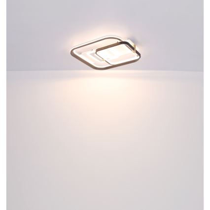 Globo 48459-48 - Zatemnljivo LED stropno svetilo ANI LED/48W/230V 2700-6000K 48x52 cm + daljinski upravljalnik
