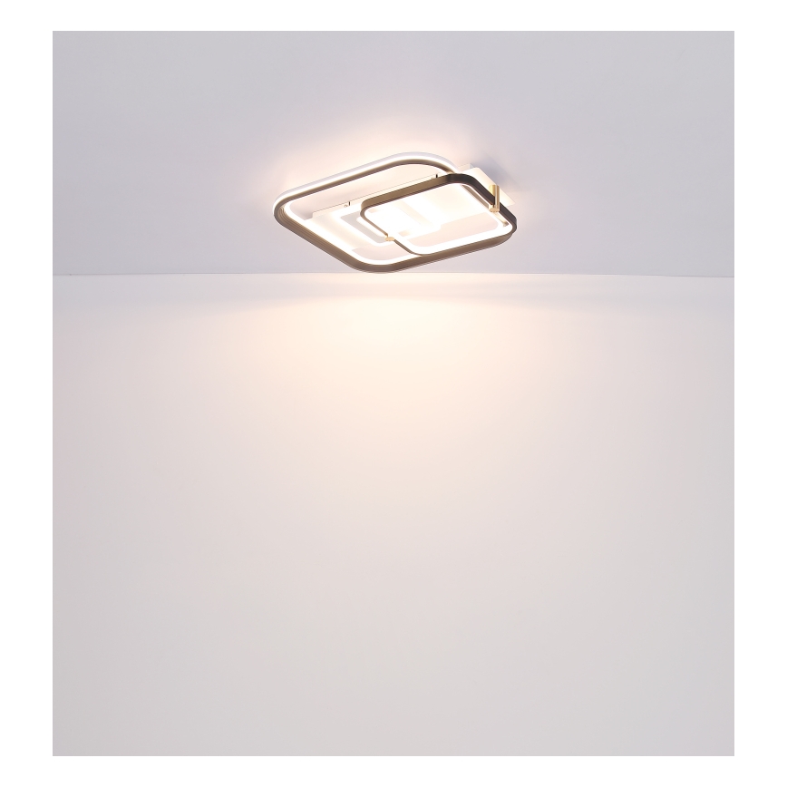 Globo 48459-48 - Zatemnljivo LED stropno svetilo ANI LED/48W/230V 2700-6000K 48x52 cm + daljinski upravljalnik