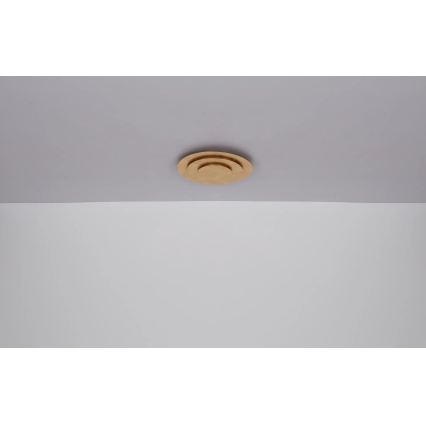 Globo - LED stropna svetilka LED/40W/230V 3000K, premer 49 cm, zlata