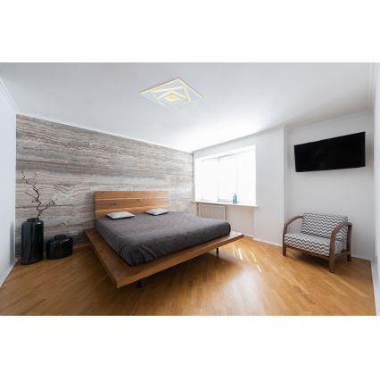 Globo - LED Stropna svetilka LED/24W/230V 3000K