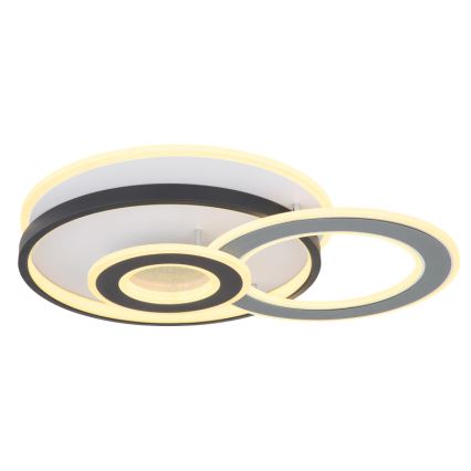 Globo 48552D4 - LED stropna svetilka BRIENNA LED/40W/230V 43x52 cm bela/siva
