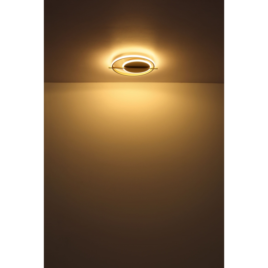 Globo - LED Stropna svetilka LED/36W/230V