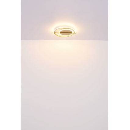 Globo - LED Stropna svetilka LED/36W/230V