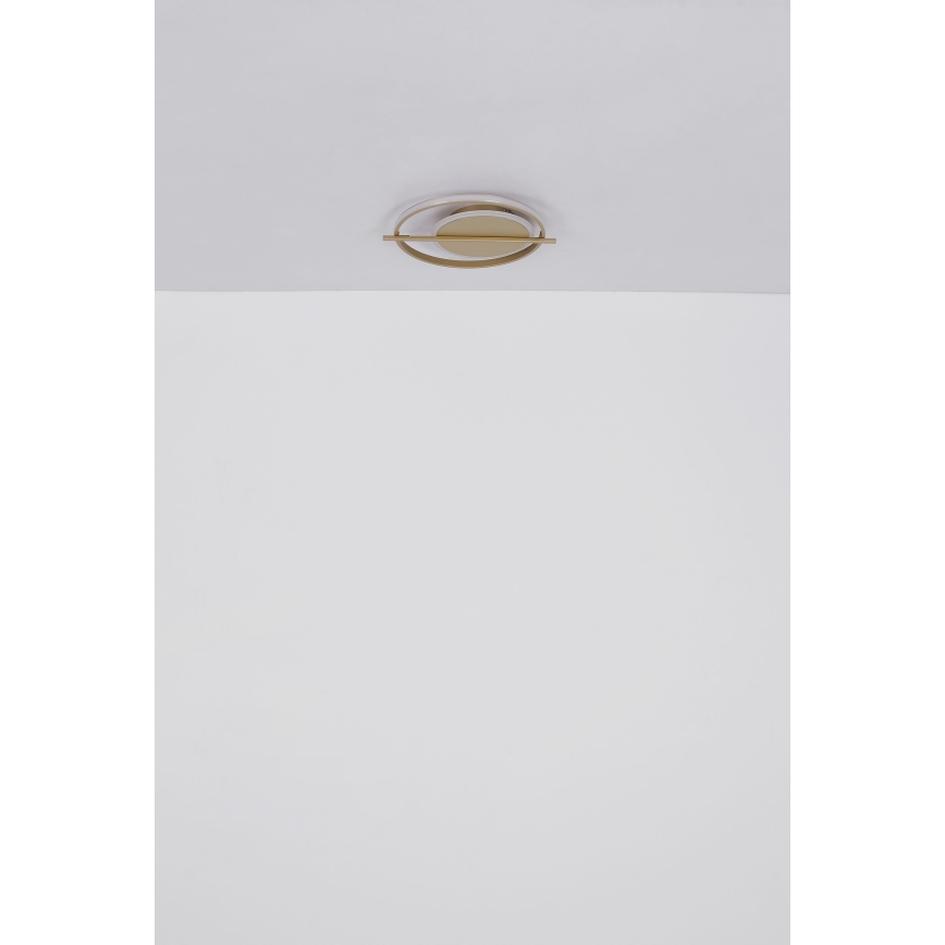 Globo - LED Stropna svetilka LED/36W/230V