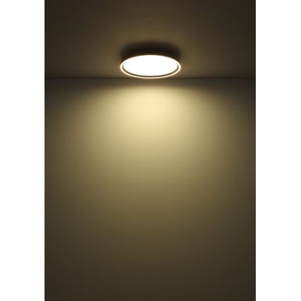 Globo - LED Zatemnitvena stropna svetilka LED/48W/230V pr. 50 cm 2700-6000K + Daljinski upravljalnik