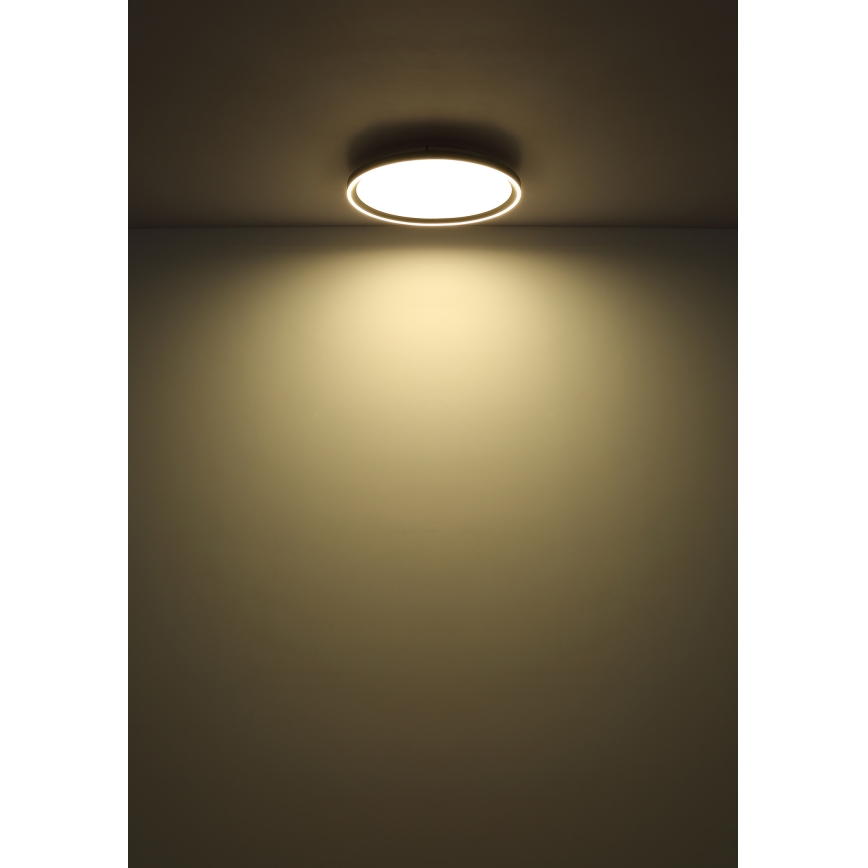 Globo - LED Zatemnitvena stropna svetilka LED/48W/230V pr. 50 cm 2700-6000K + Daljinski upravljalnik