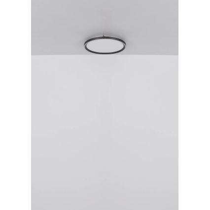 Globo - LED Zatemnitvena stropna svetilka LED/48W/230V pr. 50 cm 2700-6000K + Daljinski upravljalnik