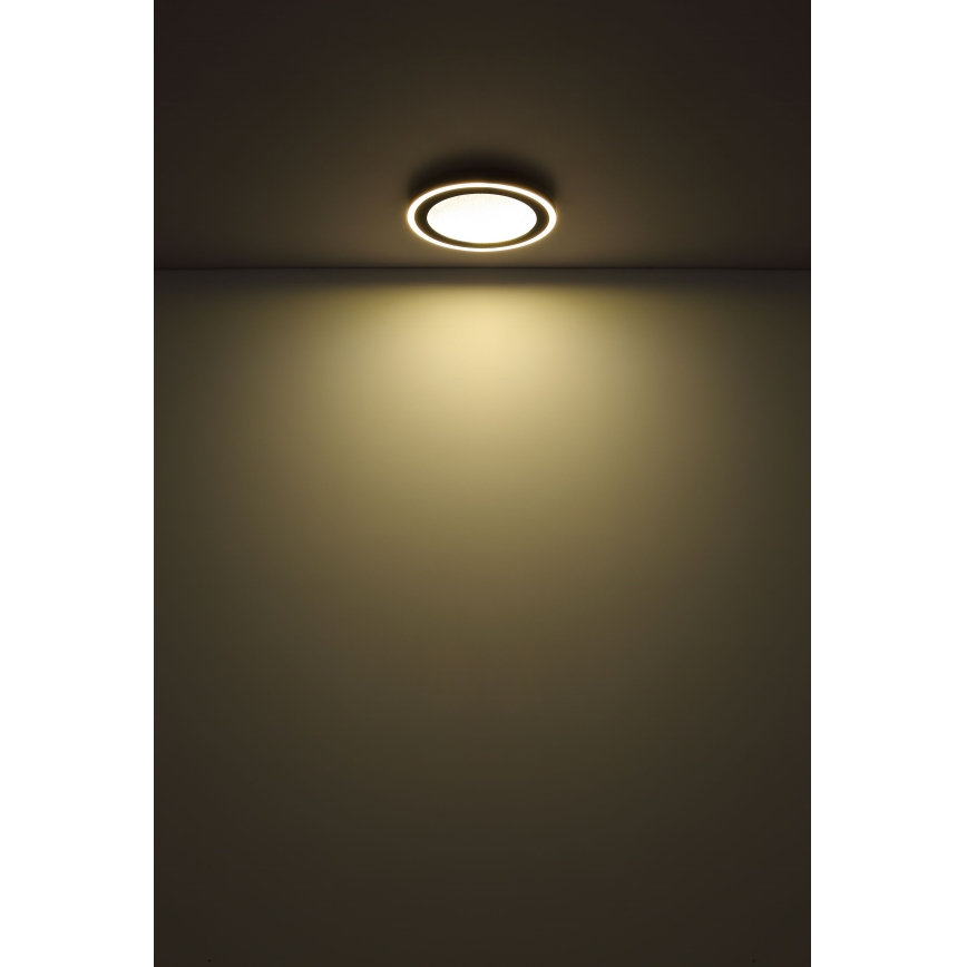Globo - LED Stropna svetilka LED/24W/230V 4000K pr. 34 cm črna