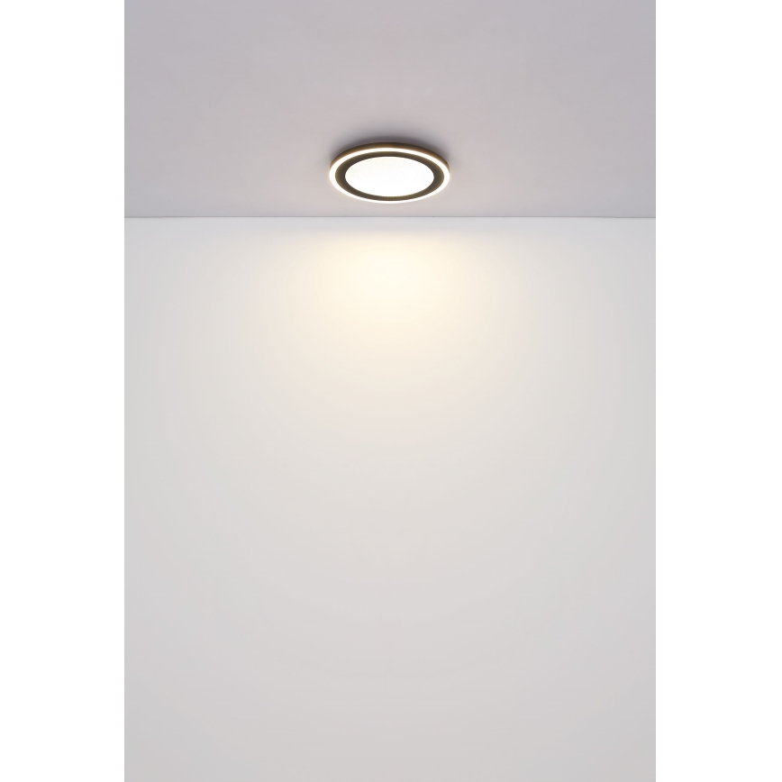 Globo - LED Stropna svetilka LED/24W/230V 4000K pr. 34 cm črna