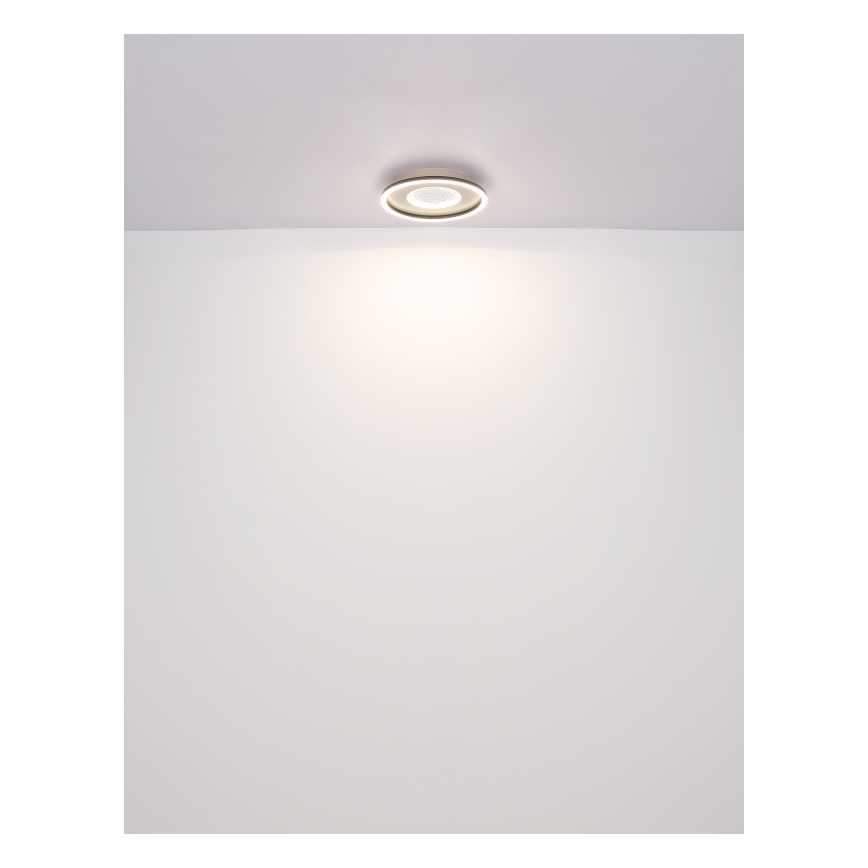 Globo - LED Stropna svetilka LED/24W/230V 2700/4500/6500K pr. 33 cm