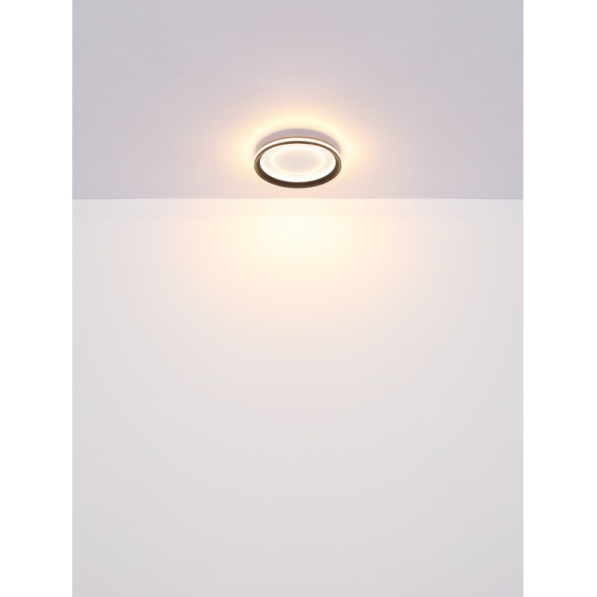 Globo - LED Zatemnitvena stropna svetilka LED/24W/230V 2700-6000K + Daljinski upravljalnik
