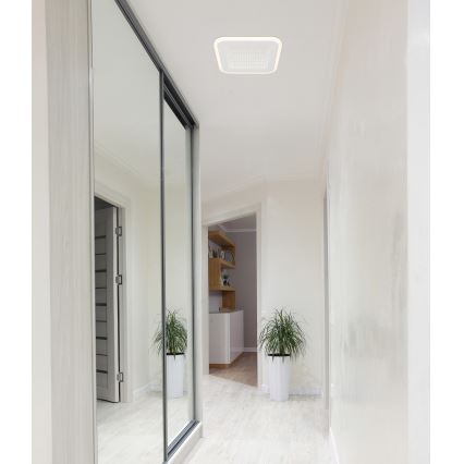 Globo - LED Stropna svetilka LED/12W/230V 4000K