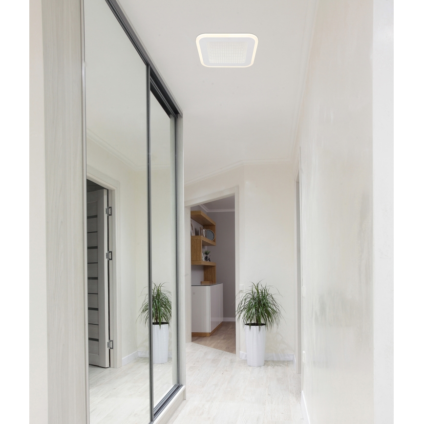 Globo - LED Stropna svetilka LED/12W/230V 4000K