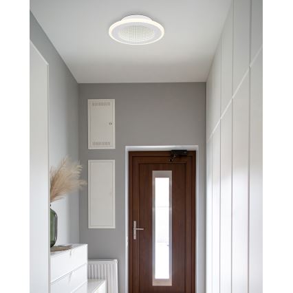 Globo - LED Stropna svetilka LED/12W/230V 4000K