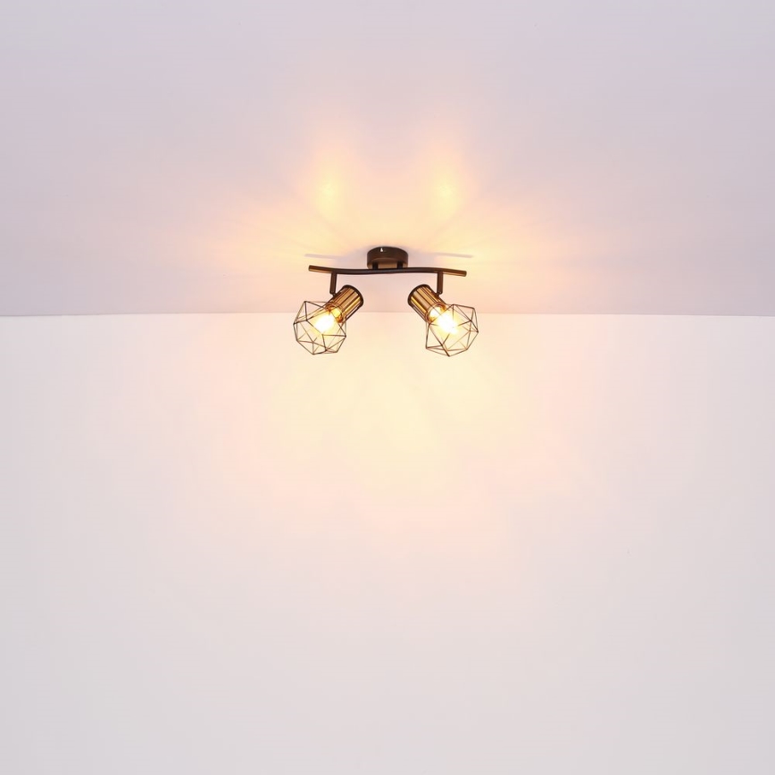 Globo - Reflektor 2xE27/40W/230V