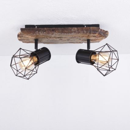 Globo - Reflektor 2xE27/60W/230V