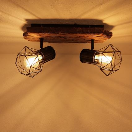 Globo - Reflektor 2xE27/60W/230V