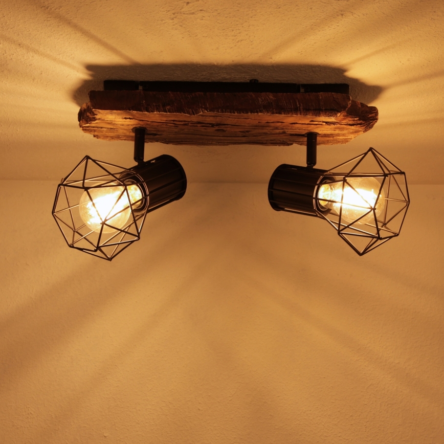 Globo - Reflektor 2xE27/60W/230V