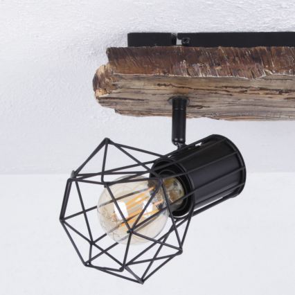 Globo - Reflektor 2xE27/60W/230V