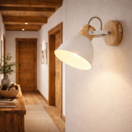 Globo - Stenski reflektor 1xE27/40W/230V