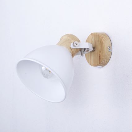 Globo - Stenski reflektor 1xE27/40W/230V