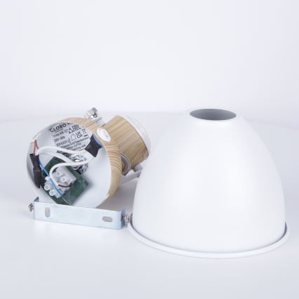 Globo - Stenski reflektor 1xE27/40W/230V