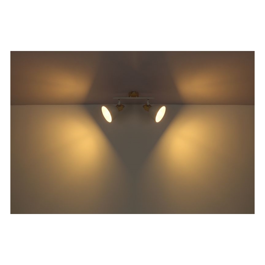 Globo - Reflektor 2xE27/40W/230V