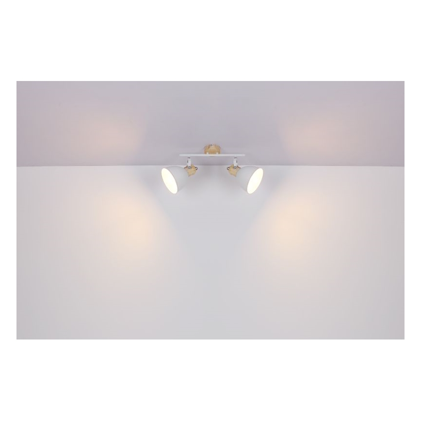 Globo - Reflektor 2xE27/40W/230V