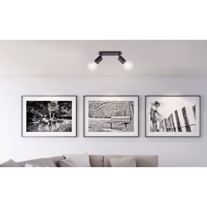 Globo - Reflektor 2xE27/60W/230V