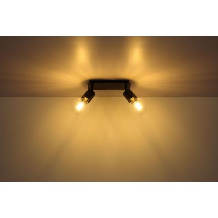 Globo - Reflektor 2xE27/60W/230V