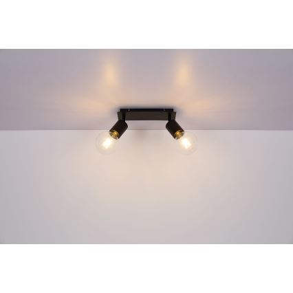 Globo - Reflektor 2xE27/60W/230V