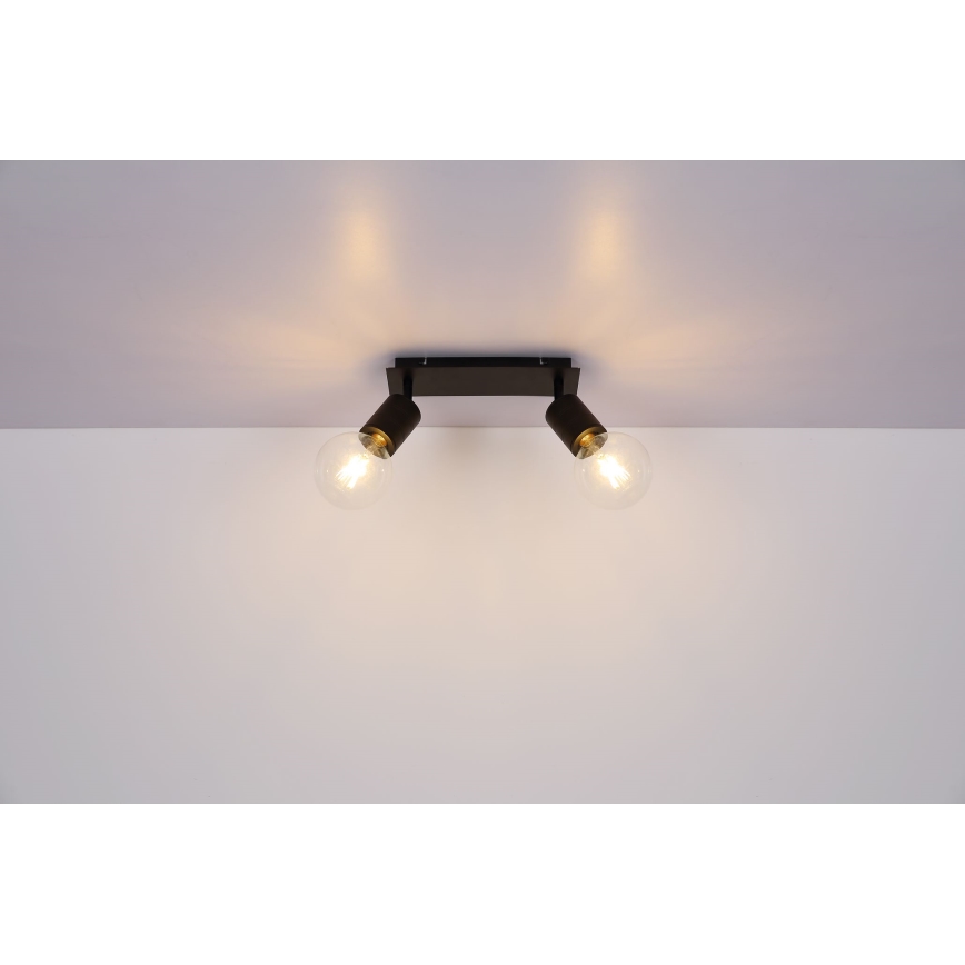 Globo - Reflektor 2xE27/60W/230V