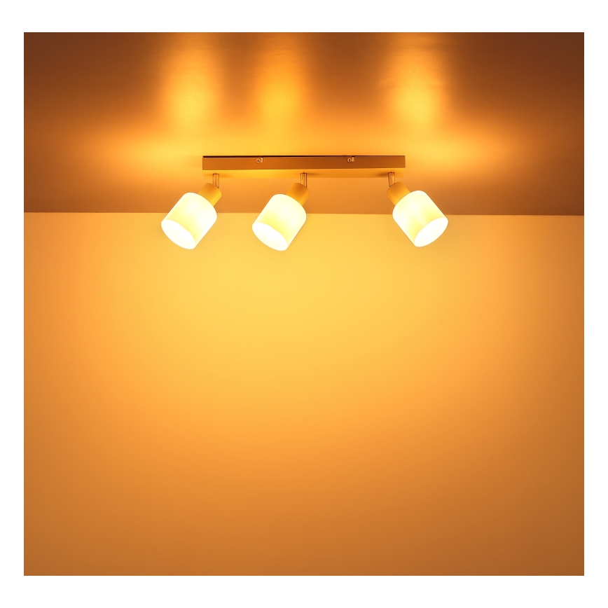 Globo - Točkovna svetilka 3xE14/25W/230V