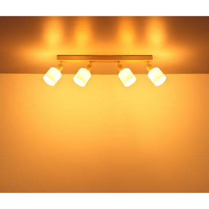 Globo - Točkovna svetilka 4xE14/25W/230V