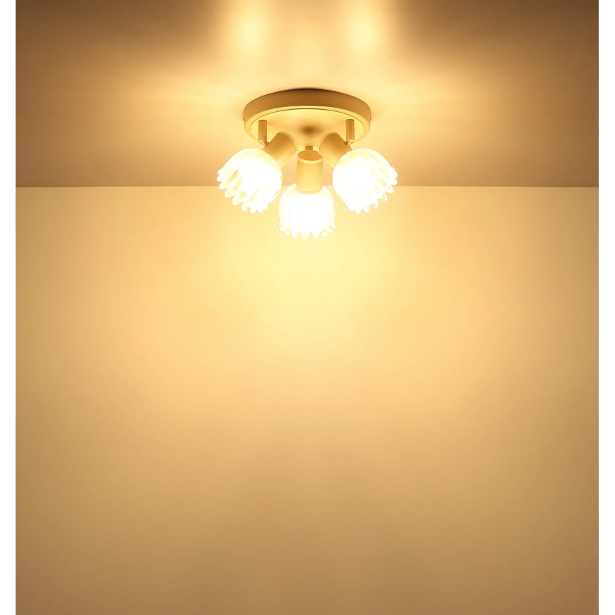 Globo - Točkovna svetilka 3xE14/40W/230V