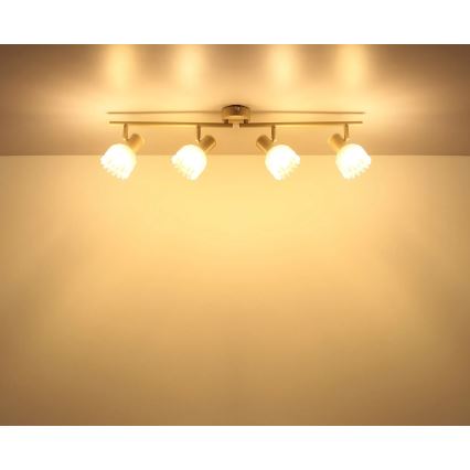 Globo - Smerna svetilka 4xE14/40W/230V