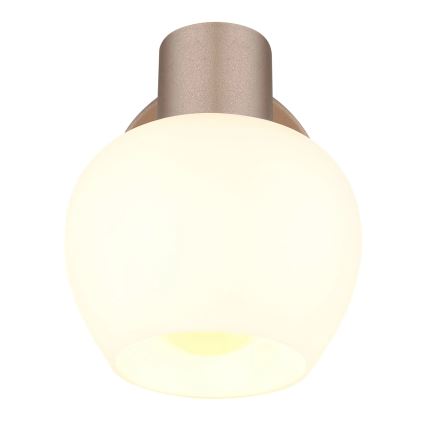 Globo - Stenska točkovna svetilka 1xE27/40W/230V