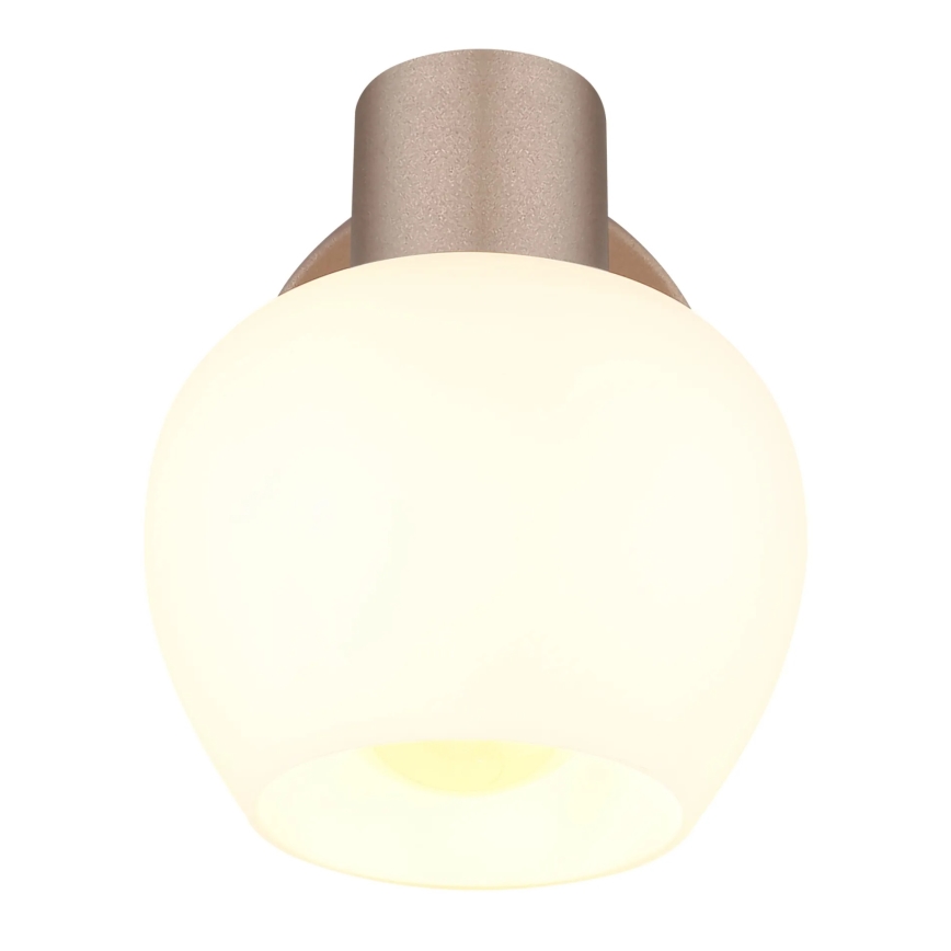 Globo - Stenska točkovna svetilka 1xE27/40W/230V