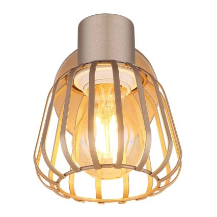 Globo - stensko točkovno svetilo 1xE27/40W/230V