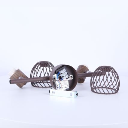 Globo 54817-2 - Reflektor ISABELLE 2xE14/40W/230V